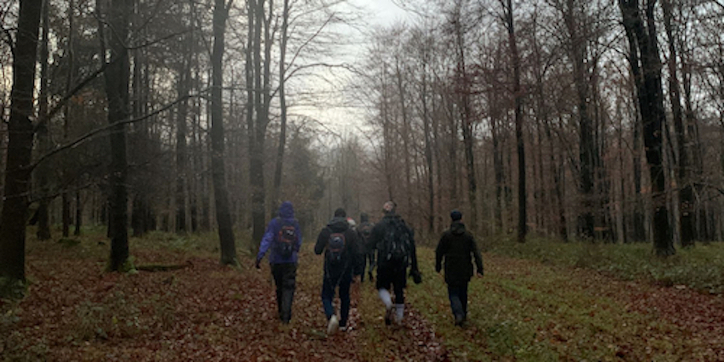 very large team walk in the woods image