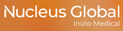 small nucleus global client logo