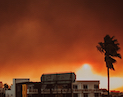 tiny image of california wildfire flames with buildings and a palm tree in the foreground