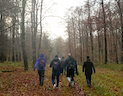 tiny image of a team walking in the woods
